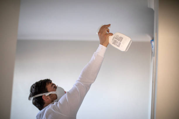 Best Residential Mold Removal  in Drexel, OH