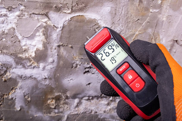 Attic Mold Removal in Drexel, OH