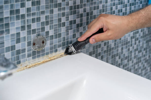 Best Best Mold Removal Companies  in Drexel, OH