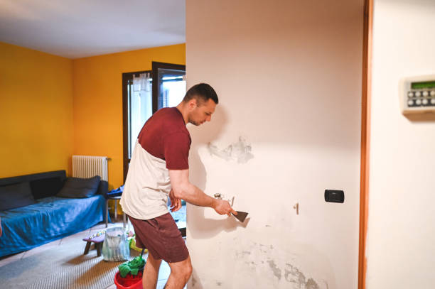 Best Toxic Mold Removal  in Drexel, OH