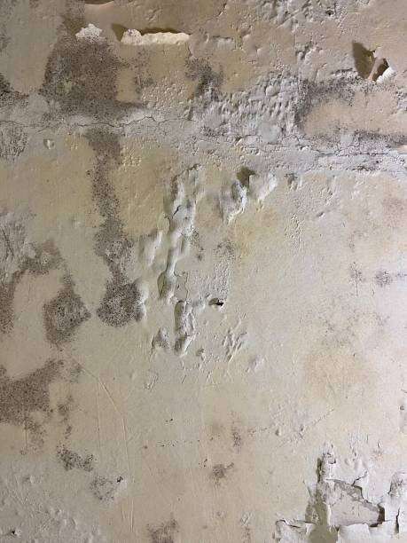 Water Damage Restoration in Drexel, OH